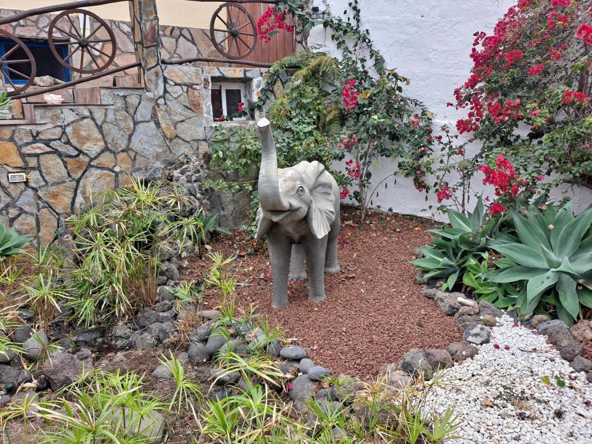 Tenerife Apartment 100M2 Casa De Don Quijote With A Terrace Of 100M2 With A View Of The Ocean And Teide Volcano And A Garden Of 600M2 Icod De Los Vinos Exterior photo